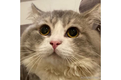 ちくわくん1枚目